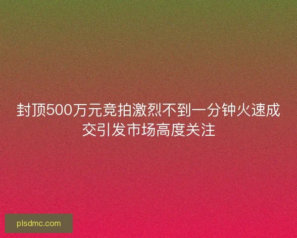 封顶500万元竞拍激烈不到一分钟火速成交引发市场高度关注